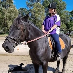 Meet your Posher, Pellin